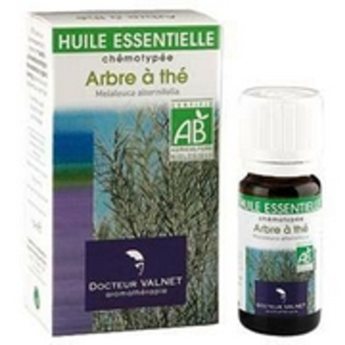 Avis Arbre Th Tea Tree Bio Huile Essentielle Valnet Femininbio