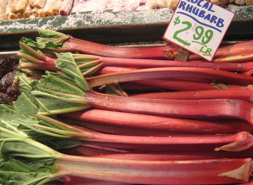 Vertus Et Bienfaits De La Rhubarbe Femininbio