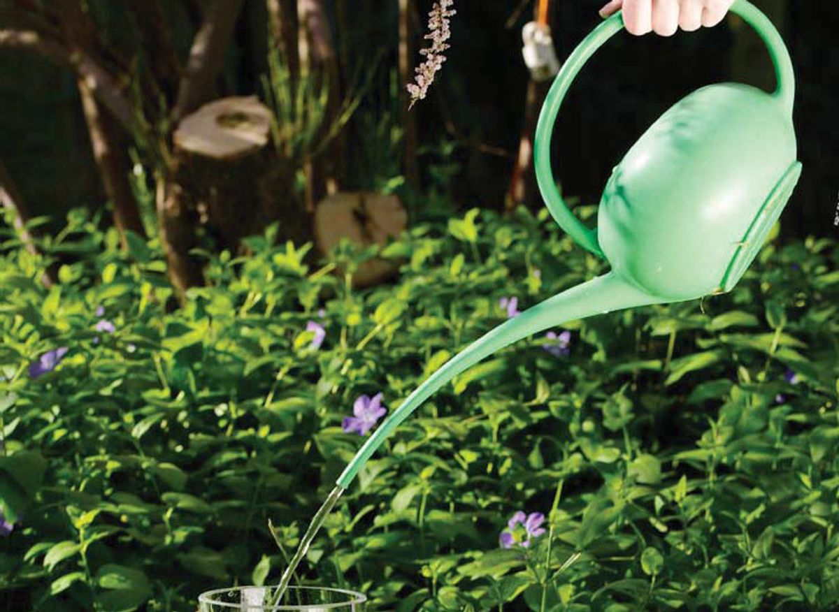 Expérience vase retourné plein d'eau FemininBio