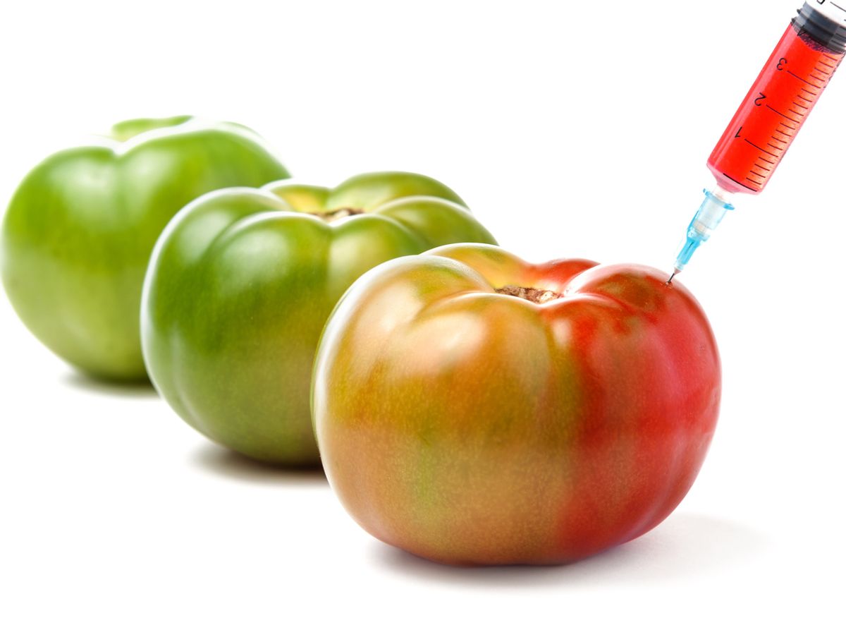 Genetically modified food. ГМО. ГМО продукты. Генномодифицированные продукты. Трансгенные продукты.