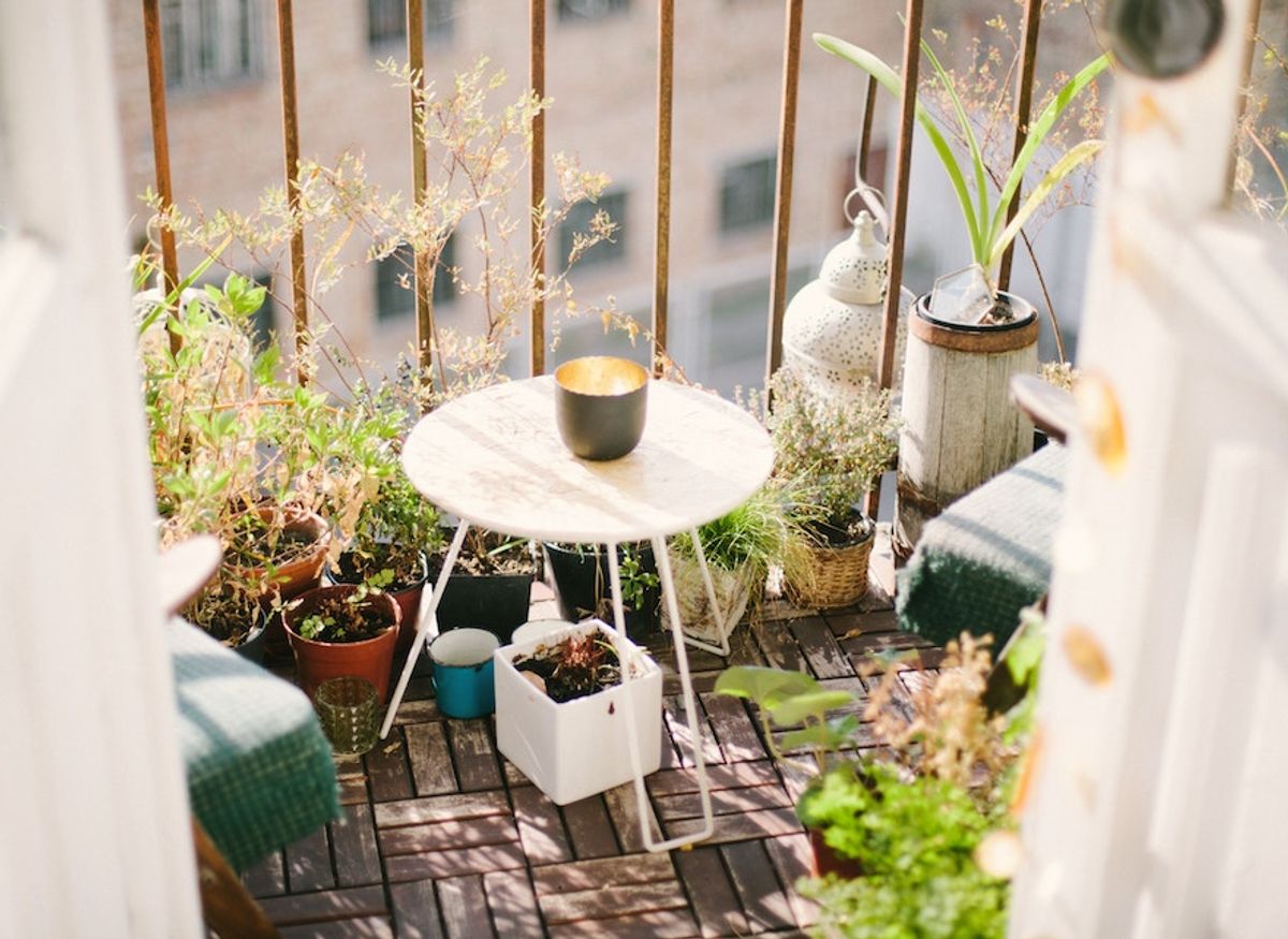 Potager urbain : 5 conseils pour jardiner sur son balcon - FemininBio