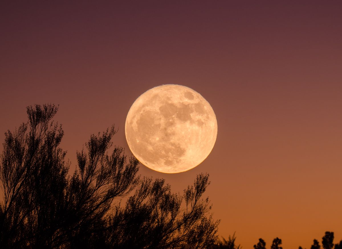 Pleine lune du 19 novembre 2021 laissez vos insécurités FemininBio