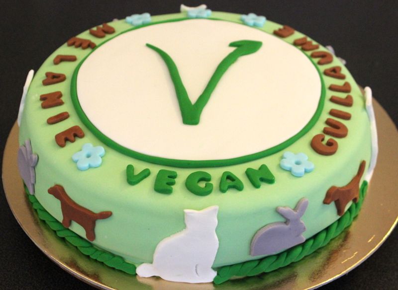 Les Delices De Gigi Des Vegan Cakes En Folie Femininbio