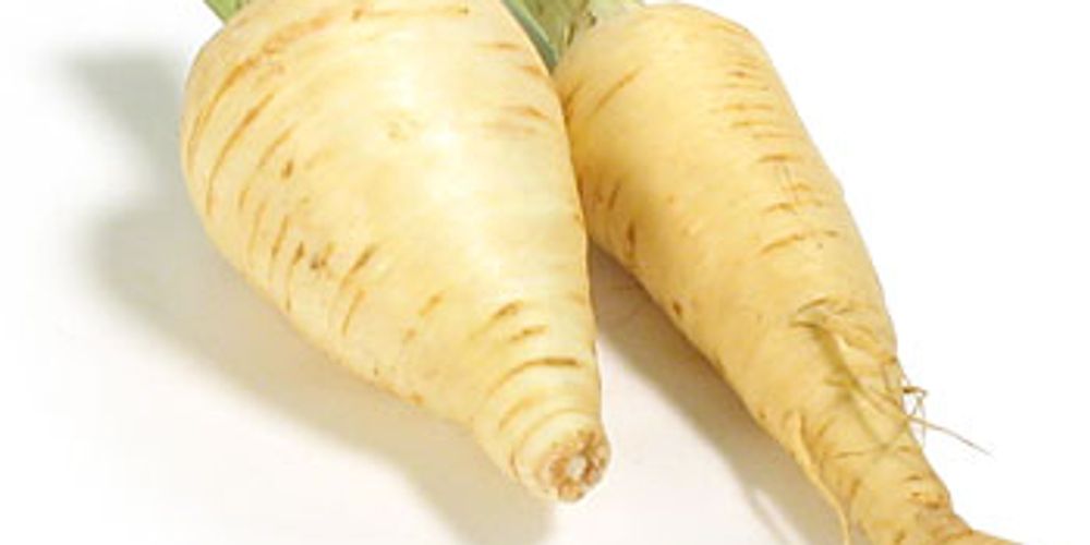 Vertus Et Bienfaits Du Panais Femininbio