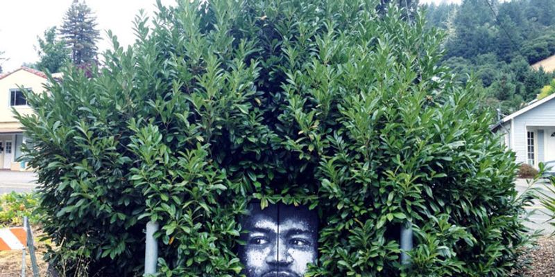 street art nature arbre tête 