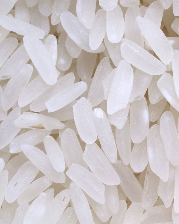 Riz 100% France : tout savoir sur sa culture - FemininBio
