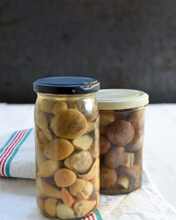 Comment conserver les champignons en bocaux? FemininBio