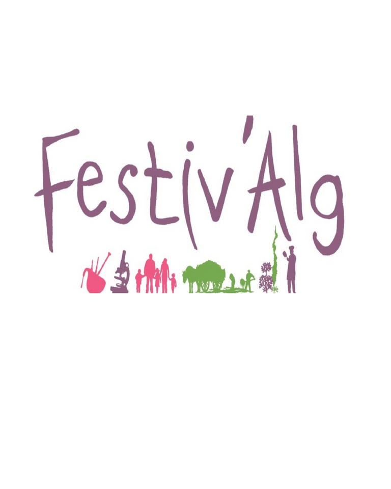 Le Festiv'Alg 2013