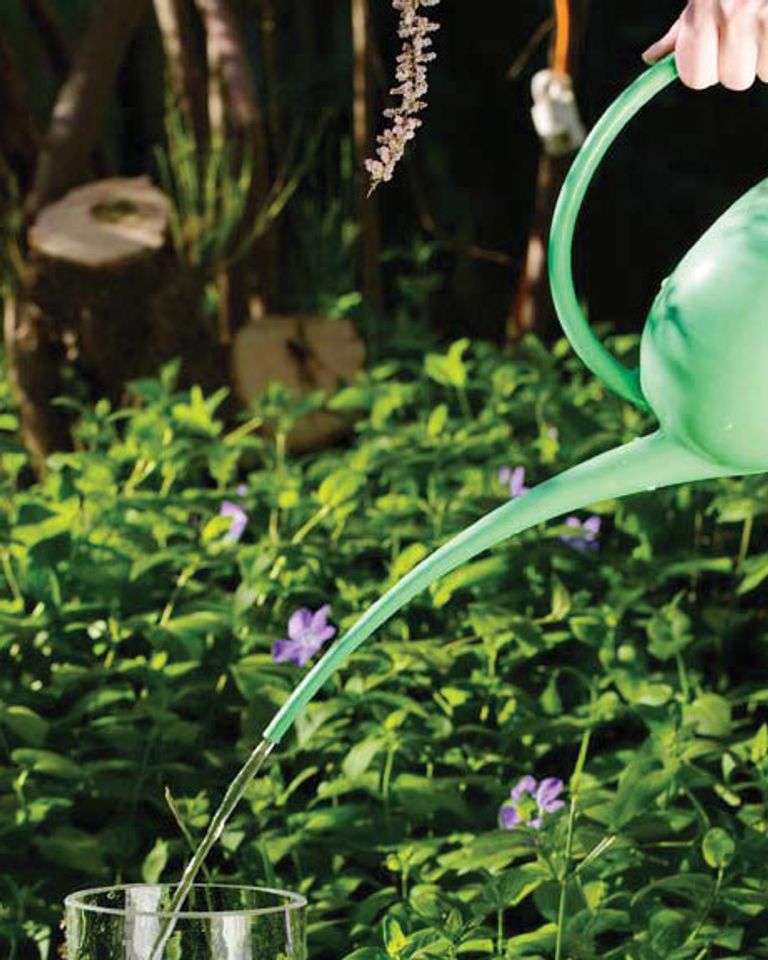 Expérience au jardin : renverser un vase remplit d'eau 