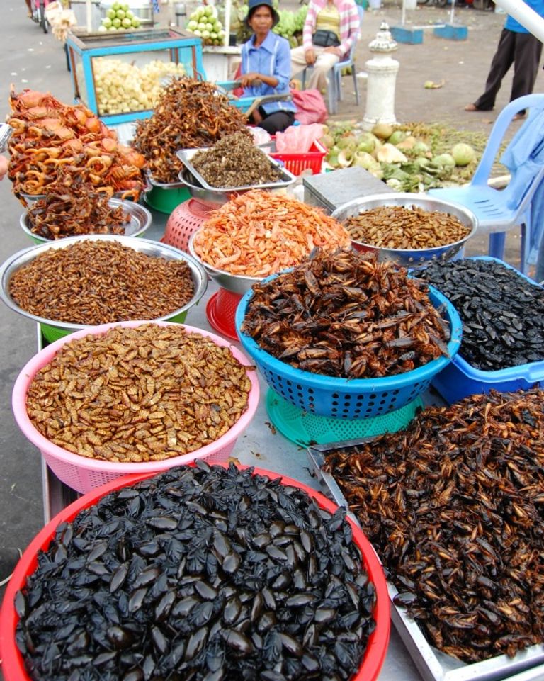insectes cuisine thailande