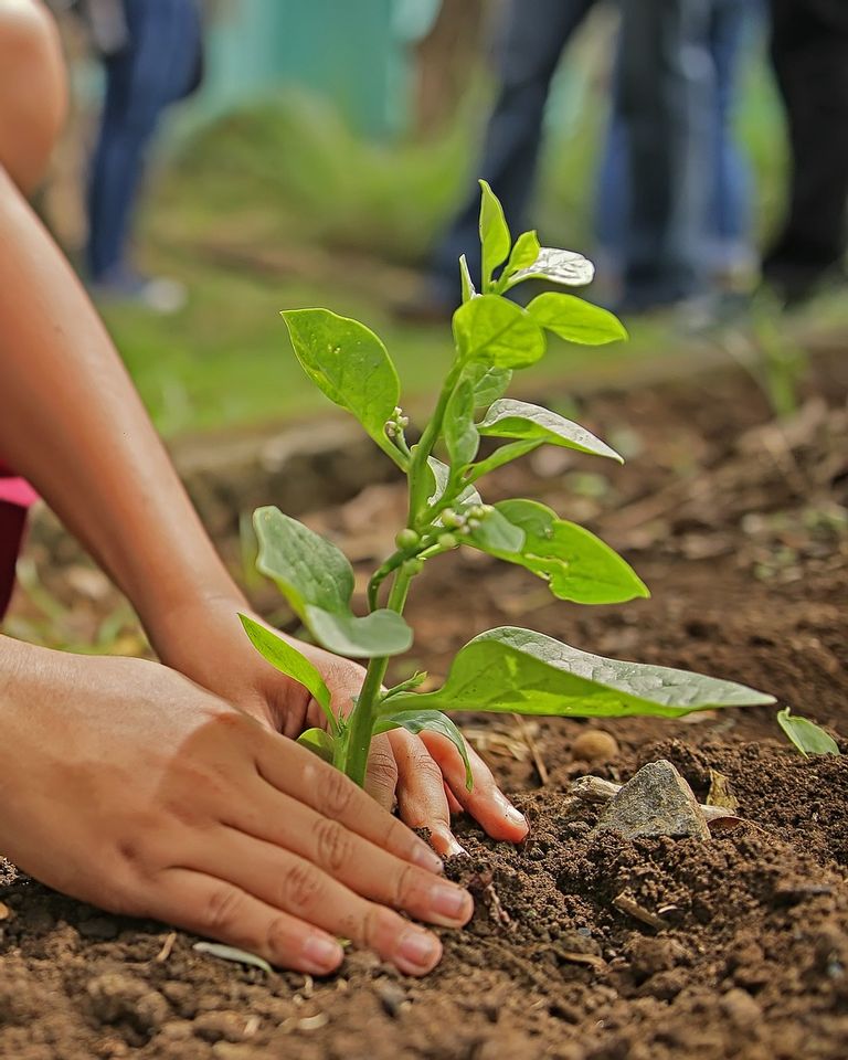 10 idées-cadeaux pour les petits jardiniers - Jardinier paresseux