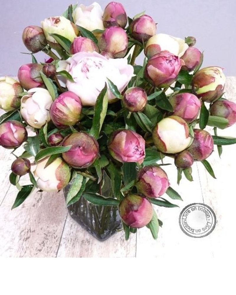 Bouquet de fleurs lilarose