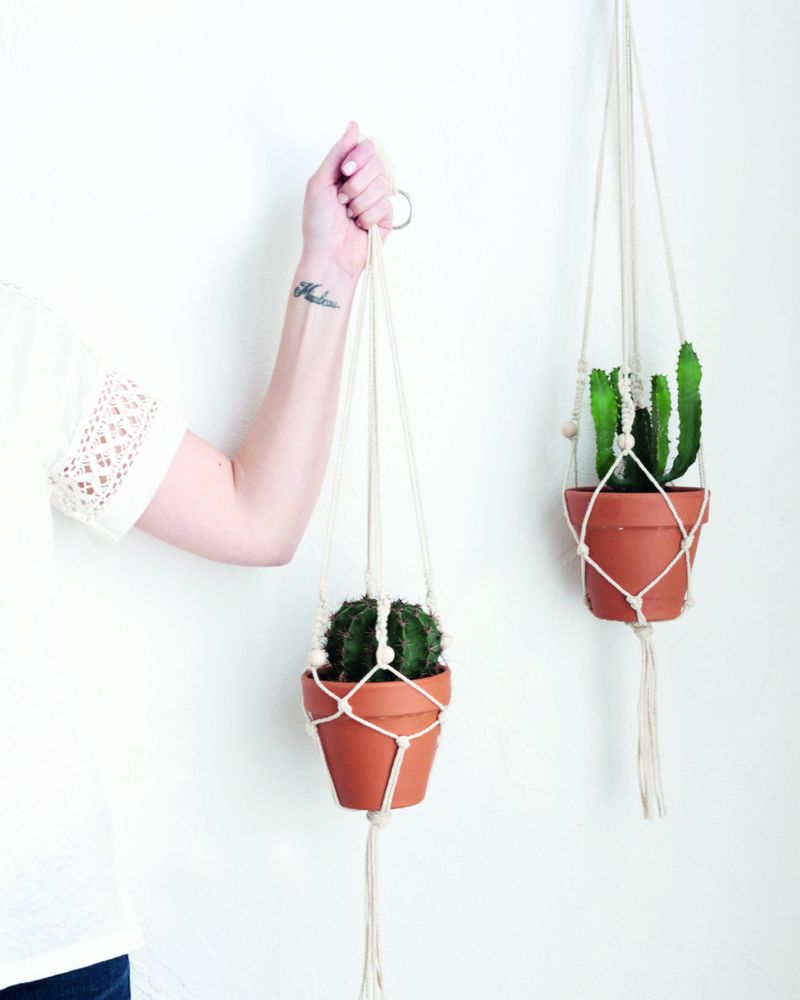 DIY : Plantes en suspension - FemininBio