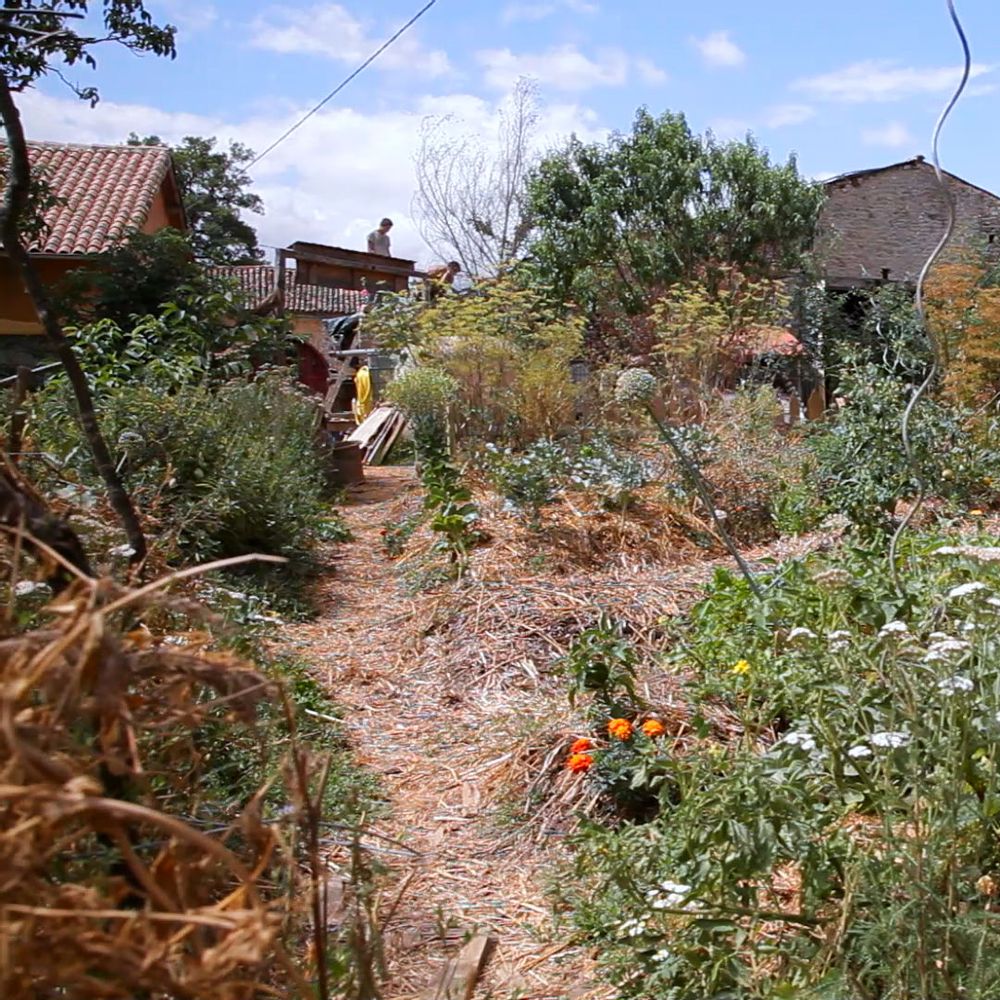 L Eveil De La Permaculture Le Film Evenement Femininbio