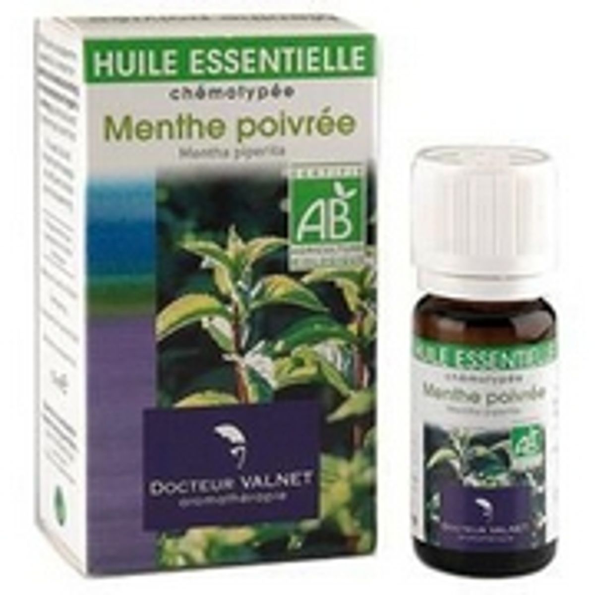 Avis Menthe Poivrée Bio Huile Essentielle Valnet - FemininBio