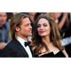 Le couple Jolie-Pitt se lance dans le vin bio