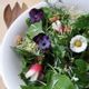 Salade printanière toute verte, violettes et premières pâquerettes d'Amandine Geers