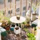 Potager urbain : 5 conseils pour cultiver sur son balcon