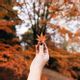 8 rituels à pratiquer pour l'automne