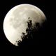 Pleine Lune et éclipse lunaire du 5 Juillet : rituel yogique pour libérer votre coeur de tous ses maux