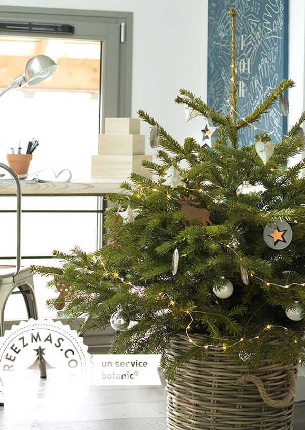 Noël : 5 sapins bio et écoresponsables pour des fêtes éthiques - FemininBio Noël : 5 sapins bio et écoresponsables pour des fêtes éthiques - FemininBio