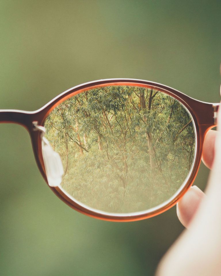 lunettes et nature
