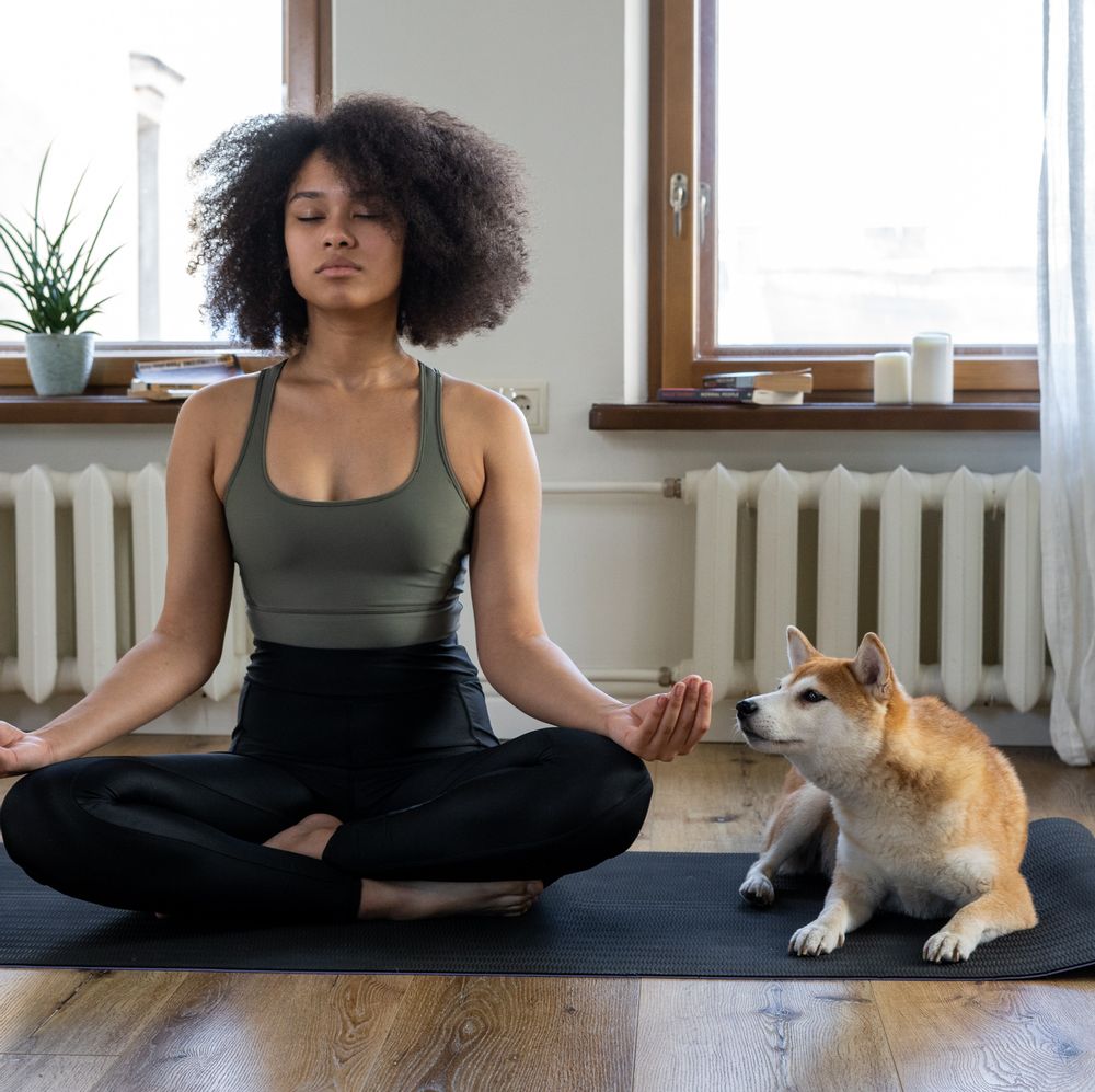 le doga le yoga a pratiquer avec son chien femininbio
