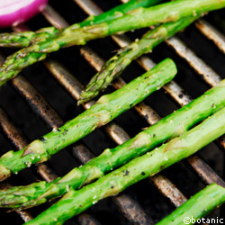 ASPERGES GRILLEES AUX HERBES SAUVAGES