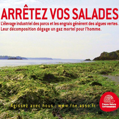 Algues vertes, campagne FNE 2011