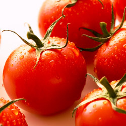 Compote de tomates aux épices