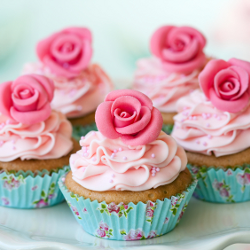 Fairy cakes glacés à la rose