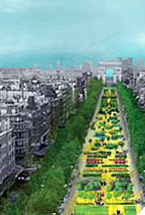 Les Champs Elysées se mettent à l'heure de la biodiversité