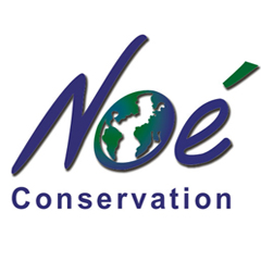 Noé Conservation